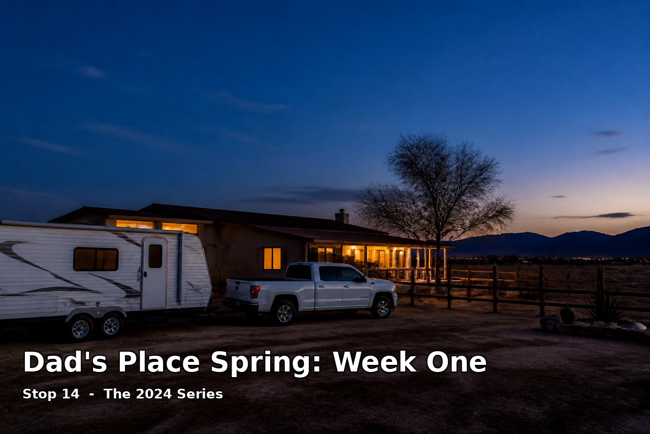 Dad's Place Spring: Week One